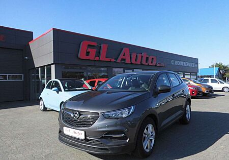 Opel Grandland X /NAVI/PDC/TEMPO/SPURASSI/DAB/