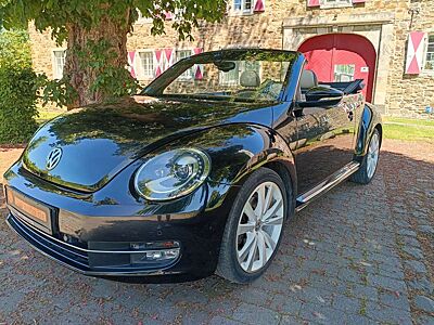 Volkswagen New Beetle 1.4 Excl.Sport,DSG,STEUERKETTE+WP NEU