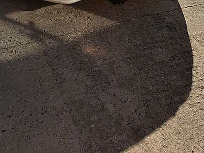 Mitsubishi Space Star 1.2 Clear Tec CVT Shine+