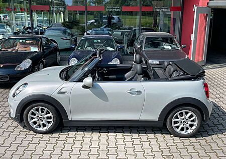 Mini Cooper Cabrio Aut. -Chili - Navi - SHZ -PDC- TOP