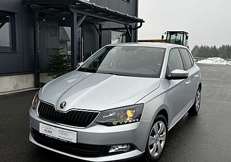Skoda Fabia Ambition / DAB, PDC, Berganfahr, Klimaauto