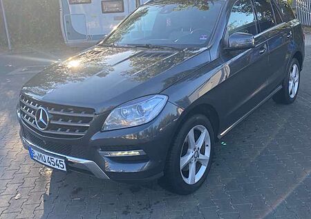 Mercedes-Benz ML 350 CDI BlueTec (166.024)