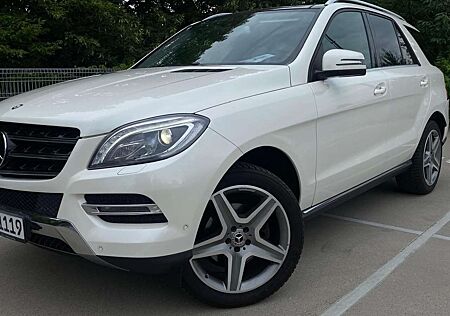 Mercedes-Benz ML 350 ML 350d AMG Felgen Sport-Paket Interieur Pano. AH