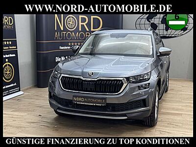 Skoda Kodiaq Ambition 2.0 TDI DSG Leder/AHK/Trittbrett Ambition