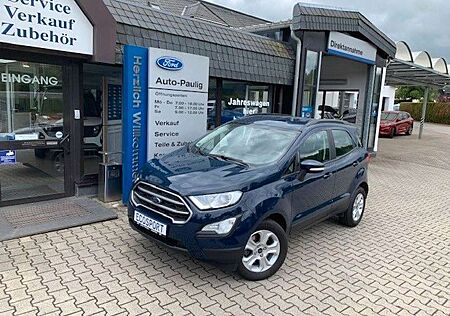 Ford EcoSport 100Ps PDC Winter Paket