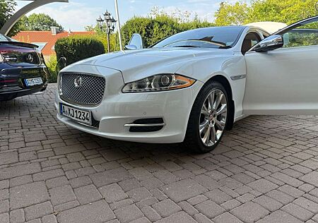 Jaguar XJ XJ 3.0 V6 Kompressor AWD Premium Luxury