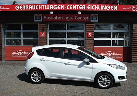 Ford Fiesta Celebration