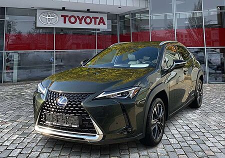 Lexus UX 250h Style Edition wenig KM* Top gepflegt