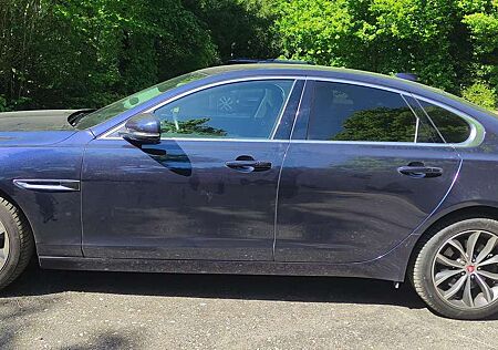 Jaguar XF Diesel 30d Aut. Prestige