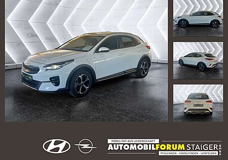 Kia XCeed gebraucht kaufen Kia XCeed 1.6 Vision Matrix 2xKlima AUT DynLicht LED