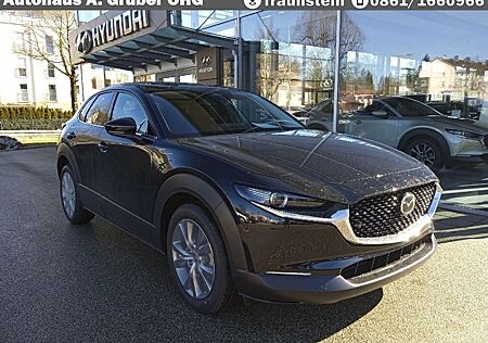 Mazda CX-30 2.5L e-SKYACTIV G Automatik Center-Line+Design-Pak
