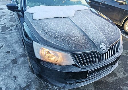 Skoda Fabia Active,Sitzheizung ,TÜV, 1. Hand
