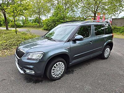 Skoda Yeti Yeti Diesel 2.0 TDI 4x4 DSG Joy