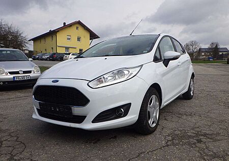 Ford Fiesta Celebration