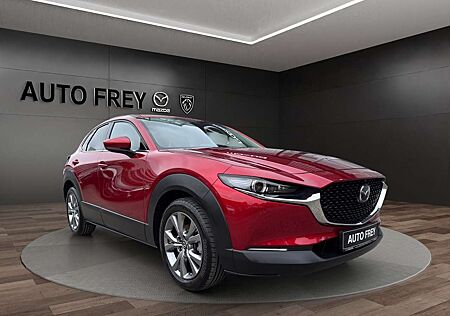 Mazda CX-30 140PS Exclusive-Line 360°+KLIMA+MATRIX-LED+NAVI+SI