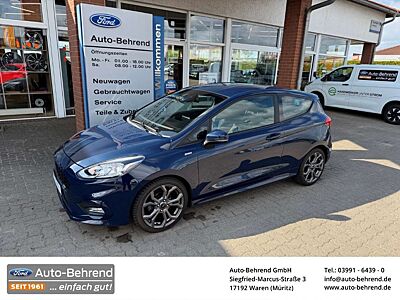 Ford Fiesta ST-Line Winterpaket Allwetterreifen Bluetooth