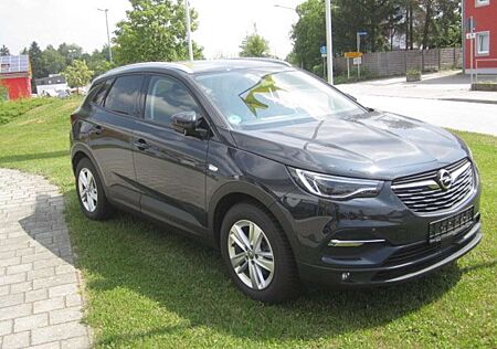 Opel Grandland X 1.6 D S/S Ed. *Lenkrad-Sitzheizung *Beheizb. WSS