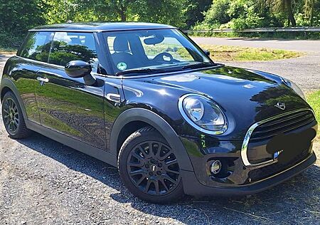 Mini ONE Blackyard