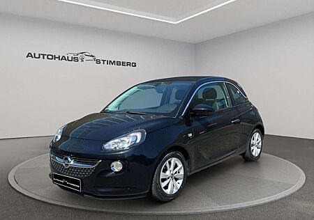 Opel Adam Open Air*FALTDACH*KLIMA*PDC*TEILLEDER*TEMPO