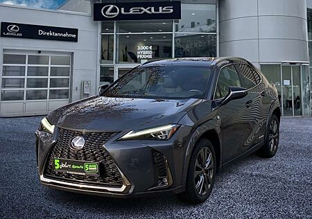 Lexus UX 250h F Sport ACC FLA HUD 360 SpurW Leder LM