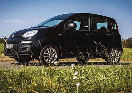 Fiat Panda 1.2