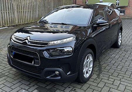 Citroën C4 Cactus Citroen Panorama+Kamera+SHZ+Keyless+Start&Stop+Carplay+LED