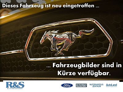 Ford EcoSport ST-Line+Kamera+B&O+Navi+Winter-P.+BLIS