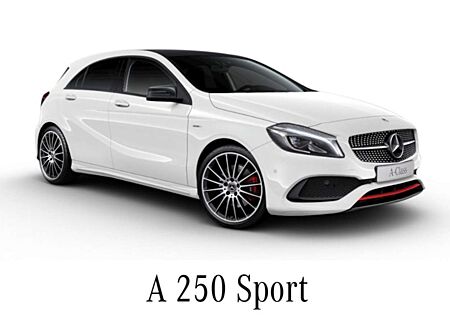 Mercedes-Benz A 250 gebraucht kaufen Mercedes-Benz A 250 AMG Sport 7G-DCT Autom. Pano 19Zoll 8fach