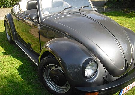 VW Buggy Volkswagen oder Speedster, top, GA 40% höher !!!!