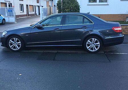 Mercedes-Benz E 250 E+250+CDI+Avangarde