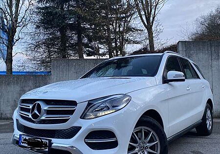 Mercedes-Benz GLE 350 d 4Matic 8 Fach Bereift