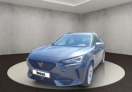 Cupra Formentor 2.0 TDI 4Drive (EURO 6d)