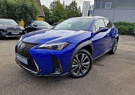 Lexus UX 300h gebraucht kaufen Lexus UX 300h F SPORT