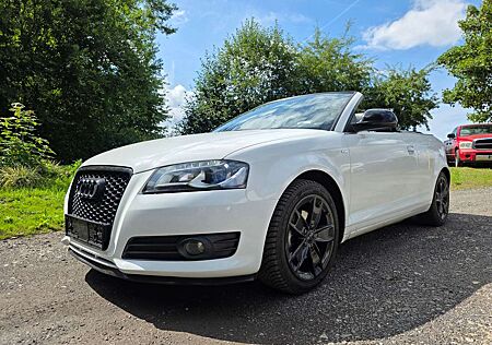 Audi A3 Ambition, Leder, LED, eDach, Navi, CarPlay