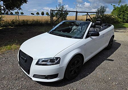 Audi A3 Ambition, Leder, LED, eDach, Navi, CarPlay