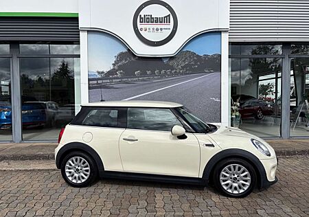 Mini ONE 3-trg Chili Temp PDC SHZ MFL uvm.