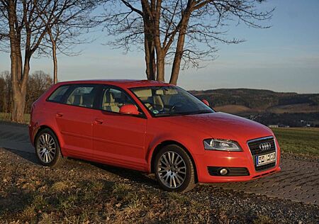 Audi A3 1.8T 8P | Motorrevision | Leder | BOSE