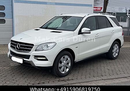 Mercedes-Benz ML 250 CDI /4 Matic/ NAVI / TEMPO / SHZG / AHK