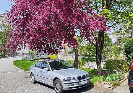 BMW 325xi 325