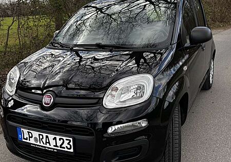 Fiat Panda TÜV bis 03.2027