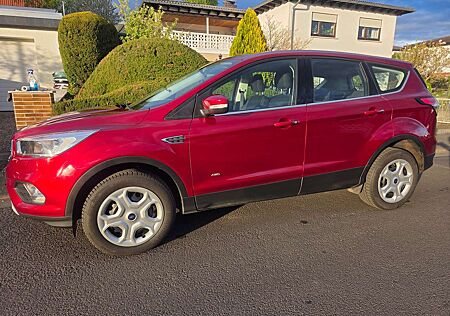 Ford Kuga 2.0 TDCi 4x4 Trend mit AHK / 8fach bereift