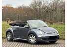 VW New Beetle Volkswagen Cabriolet 1.4 Tüv Neu 1 Hand