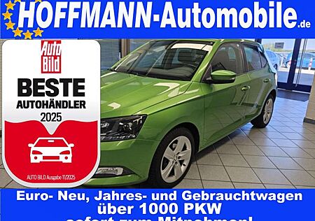 Skoda Fabia Ambition PDC,SItzheizung,Alufelgen,GRA