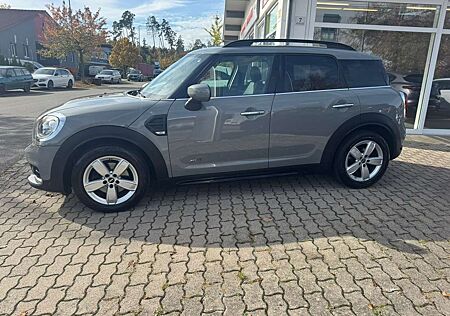 Mini Cooper Countryman Cooper All4-Kamera-LED-AHK-8 fach bereift-