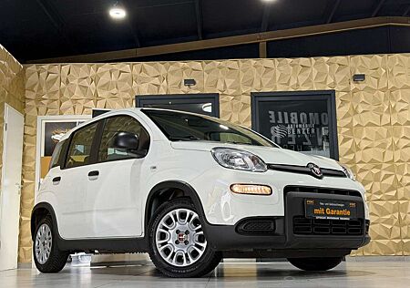 Fiat Panda gebraucht kaufen Fiat Panda /KLIMA/4-TÜRER/DAB/ALLWETTER/1-HAND