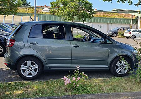 VW Golf Plus Volkswagen 1.6 FSI Trendline