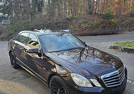Mercedes-Benz E 350 CGI AVANGARDE Top Gepflegt