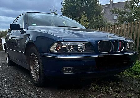 BMW 523i 523