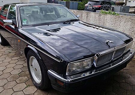 Jaguar Daimler Daimler Double Six