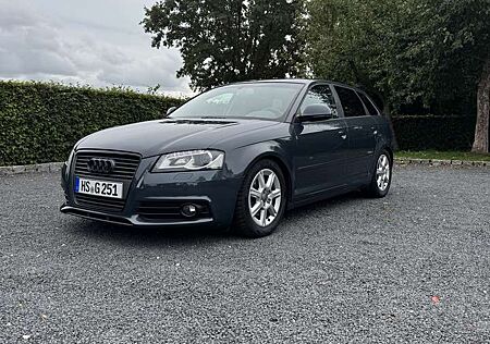 Audi A3 8P Steuerkette neu, Gewindefahrwerk, …
